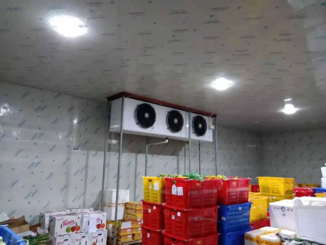 江南在线注册(中国)蔬菜